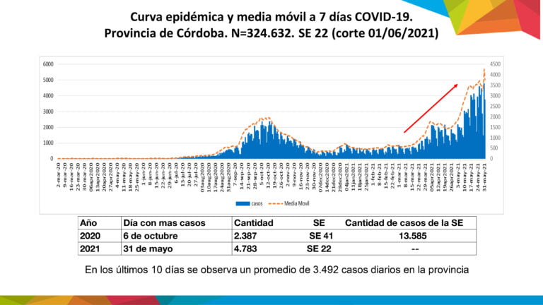 1-curvaepidemica