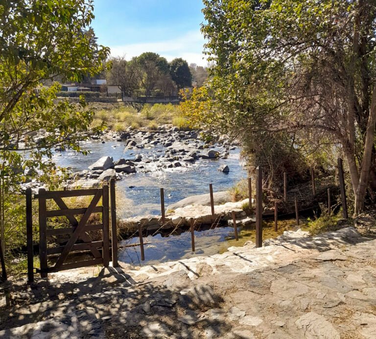 WhatsApp Image 2021-08-06 at 14.53.35 (1)