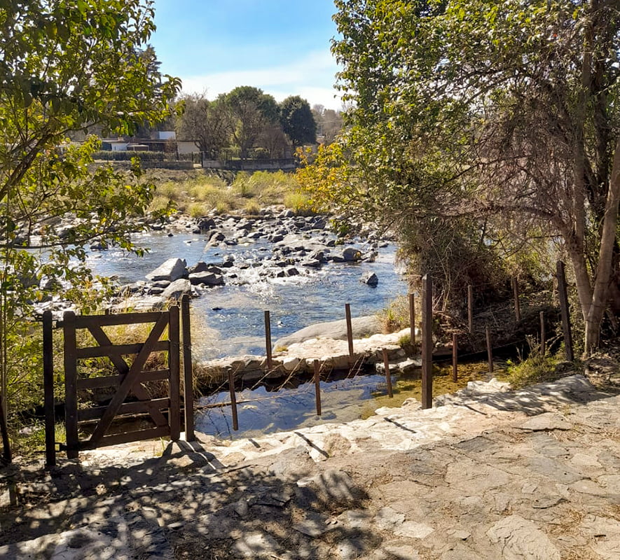 Los Aromitos