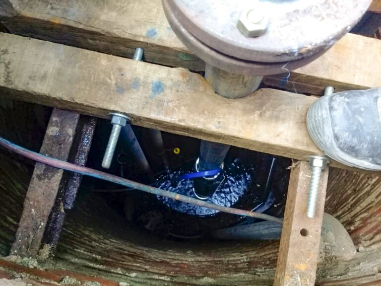 WhatsApp Image 2021-08-24 at 16.41.43